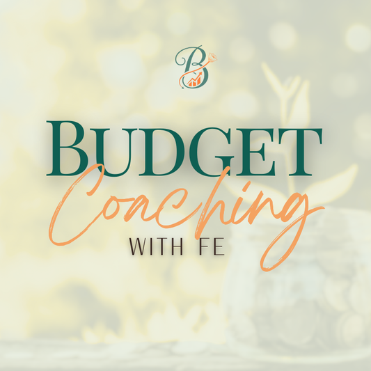 Budget Coaching